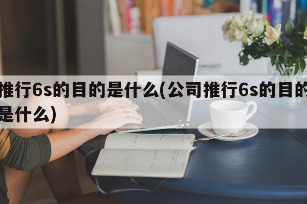 推行6s的目的是什么(公司推行6s的目的是什么)